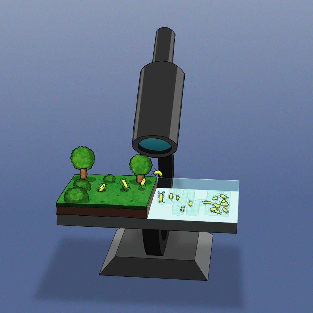 Hogyan fogjunk meg egy baktériumot? – Modern módszerek a mikrobiológiai kutatásokban