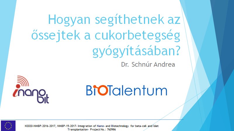 Hogyan segíthetnek az őssejtek a cukorbetegség gyógyításában? - BioTalentum Kft.