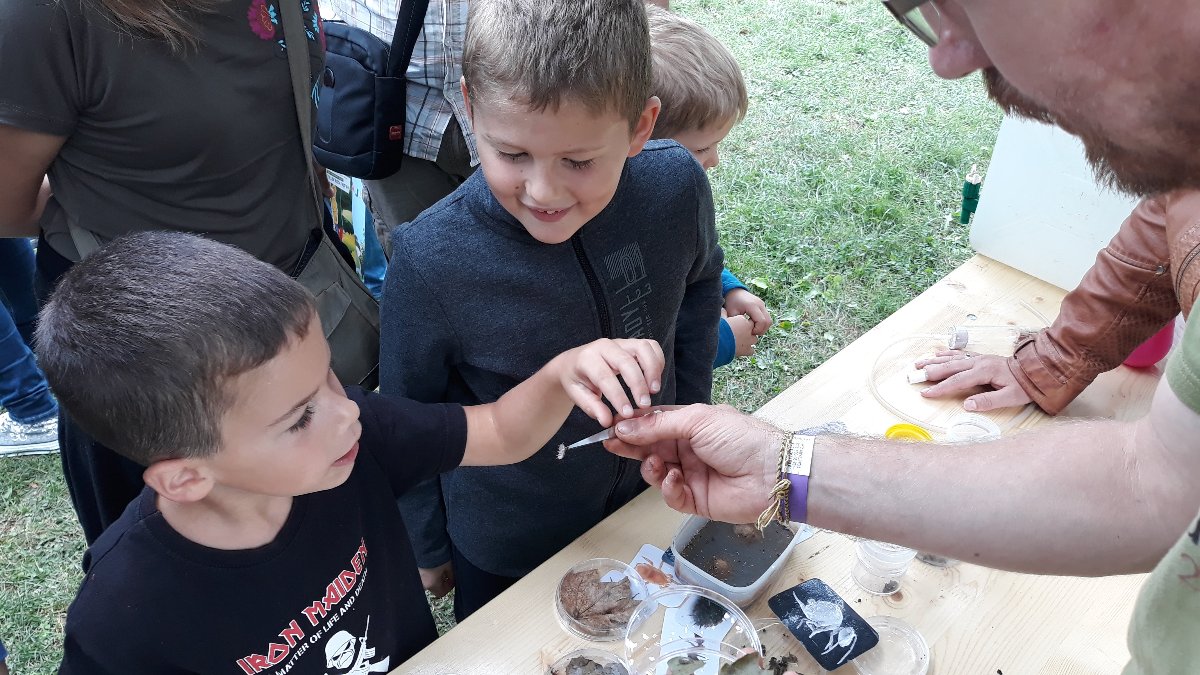 A talajlakó állatok szerepe a talajegészség megőrzésében