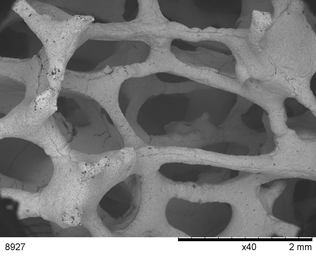 Anyagfejlesztési Labor látogatás