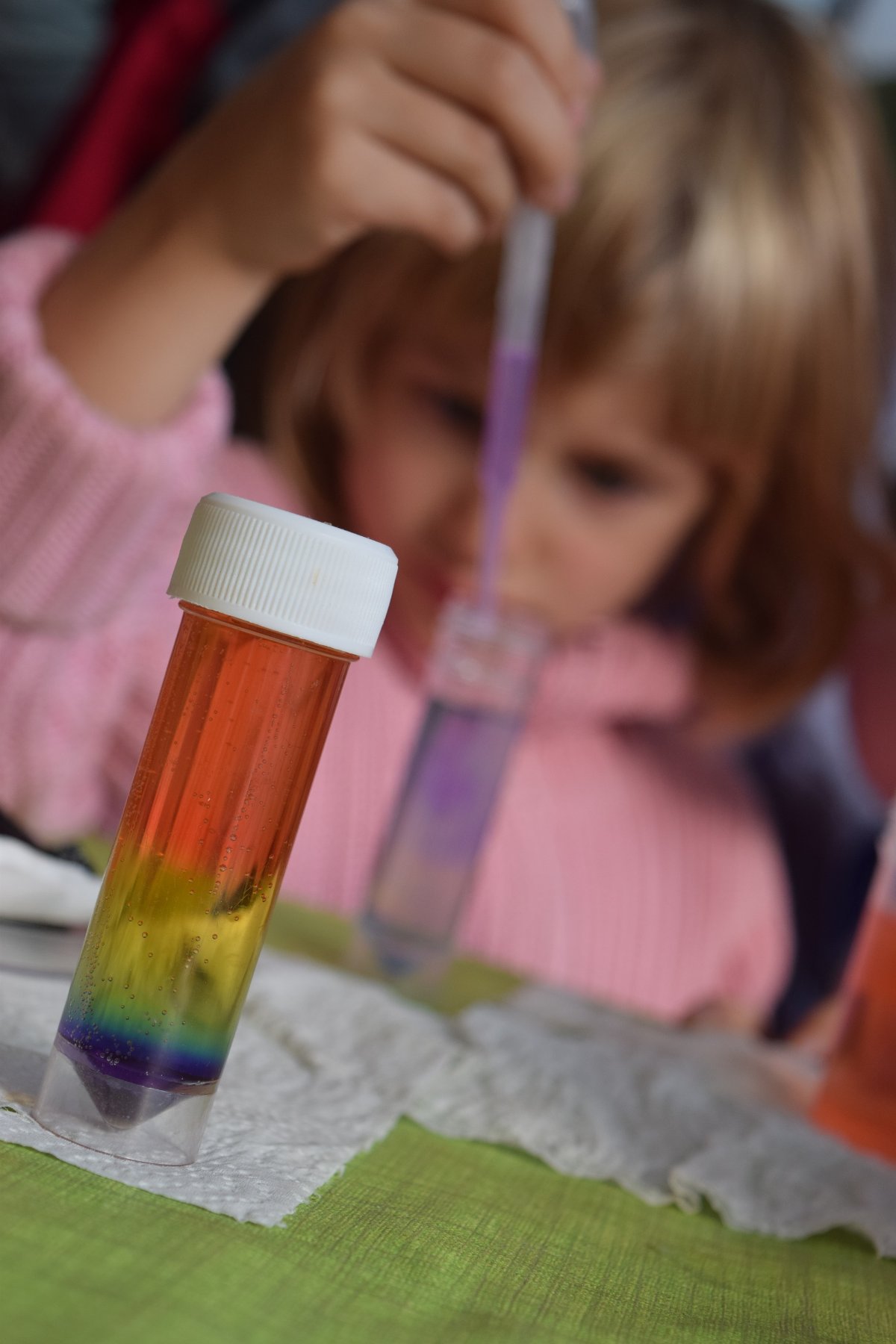 Talajok színes világa