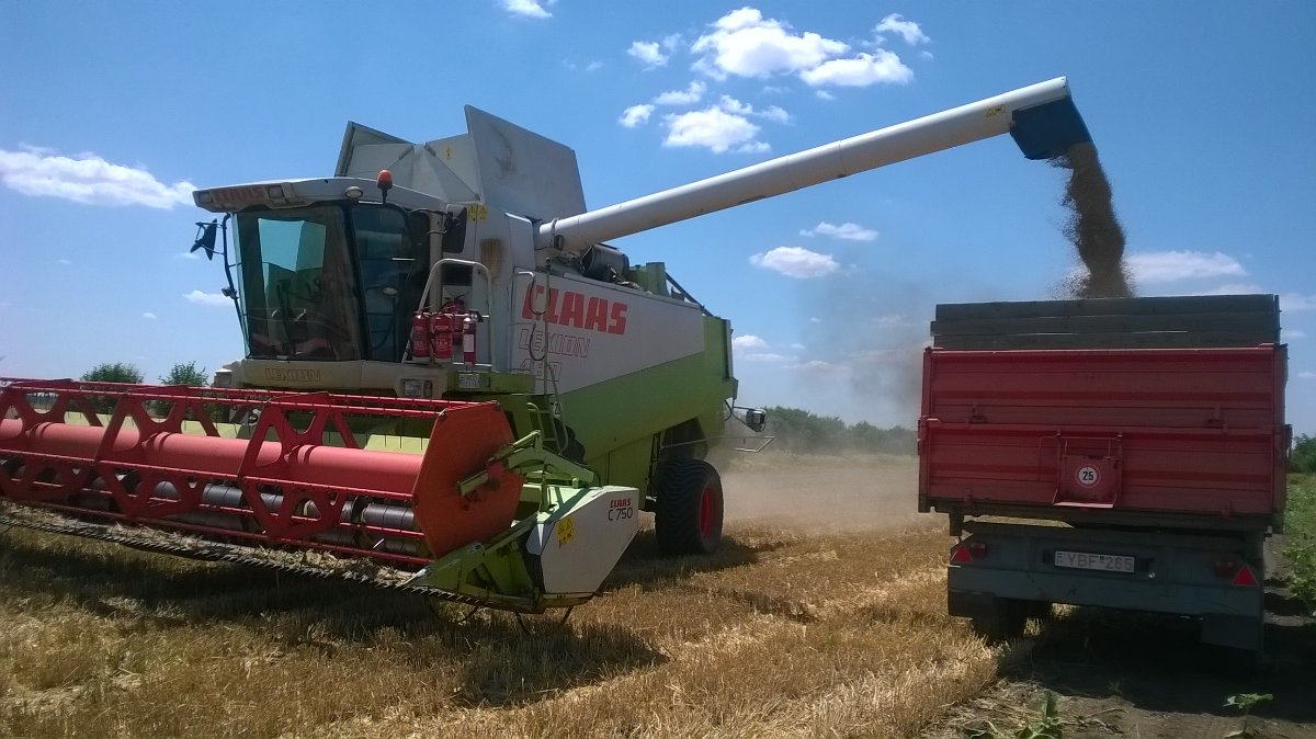 Bemutatkozik a MATE Növénytermesztési-tudományok Intézete