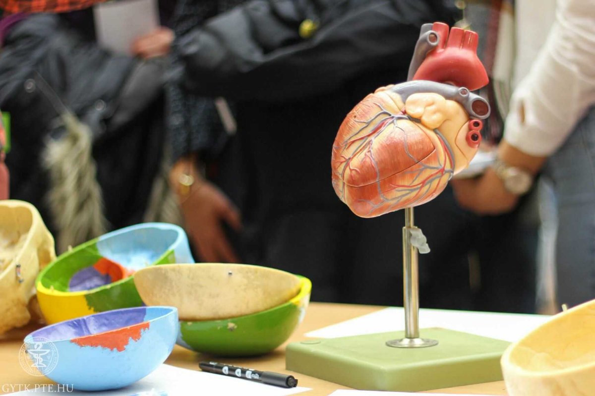 Kutatók Éjszakája  a Pécsi Tudományegyetem Általános Orvostudományi Karán