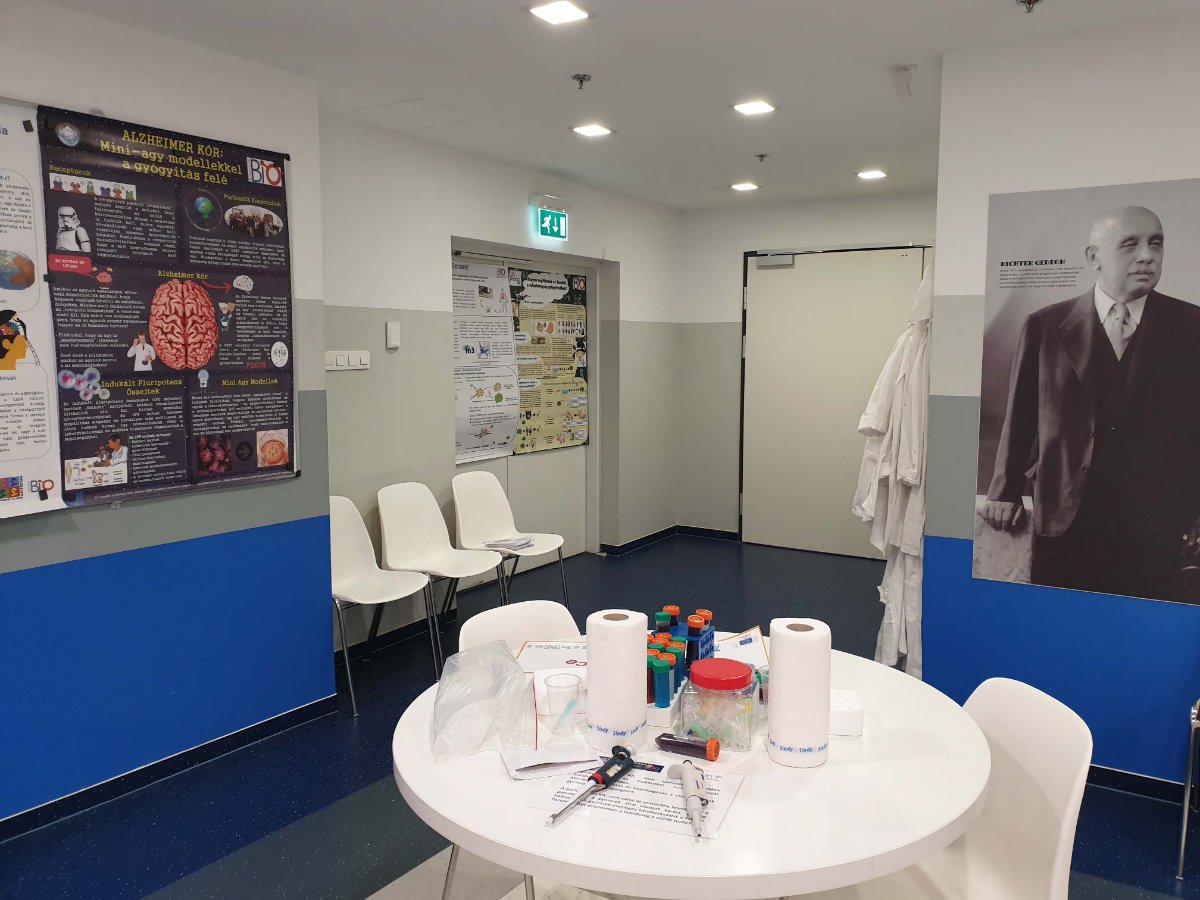 A test sejtjeinek újraprogramozása – BioTalentum Kft.