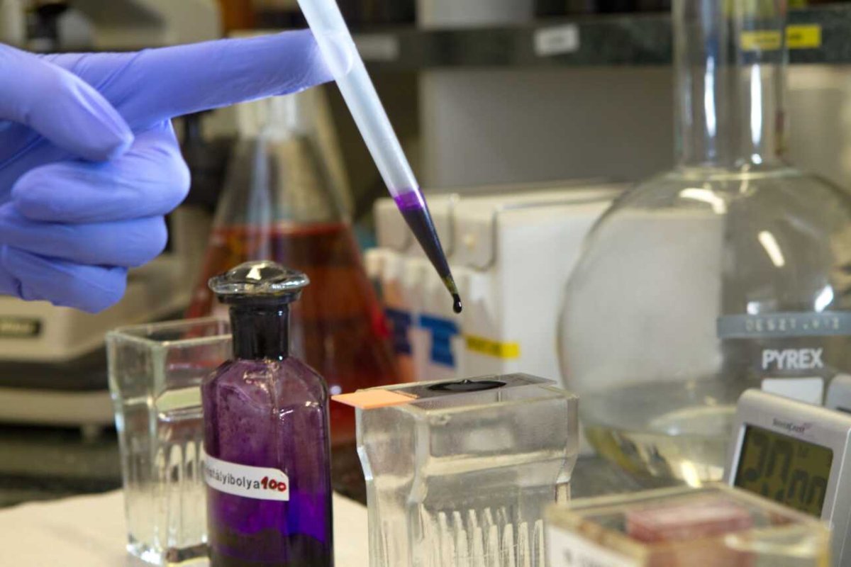 Kutatók Éjszakája a Pécsi Tudományegyetem Gyógyszerésztudományi Karán